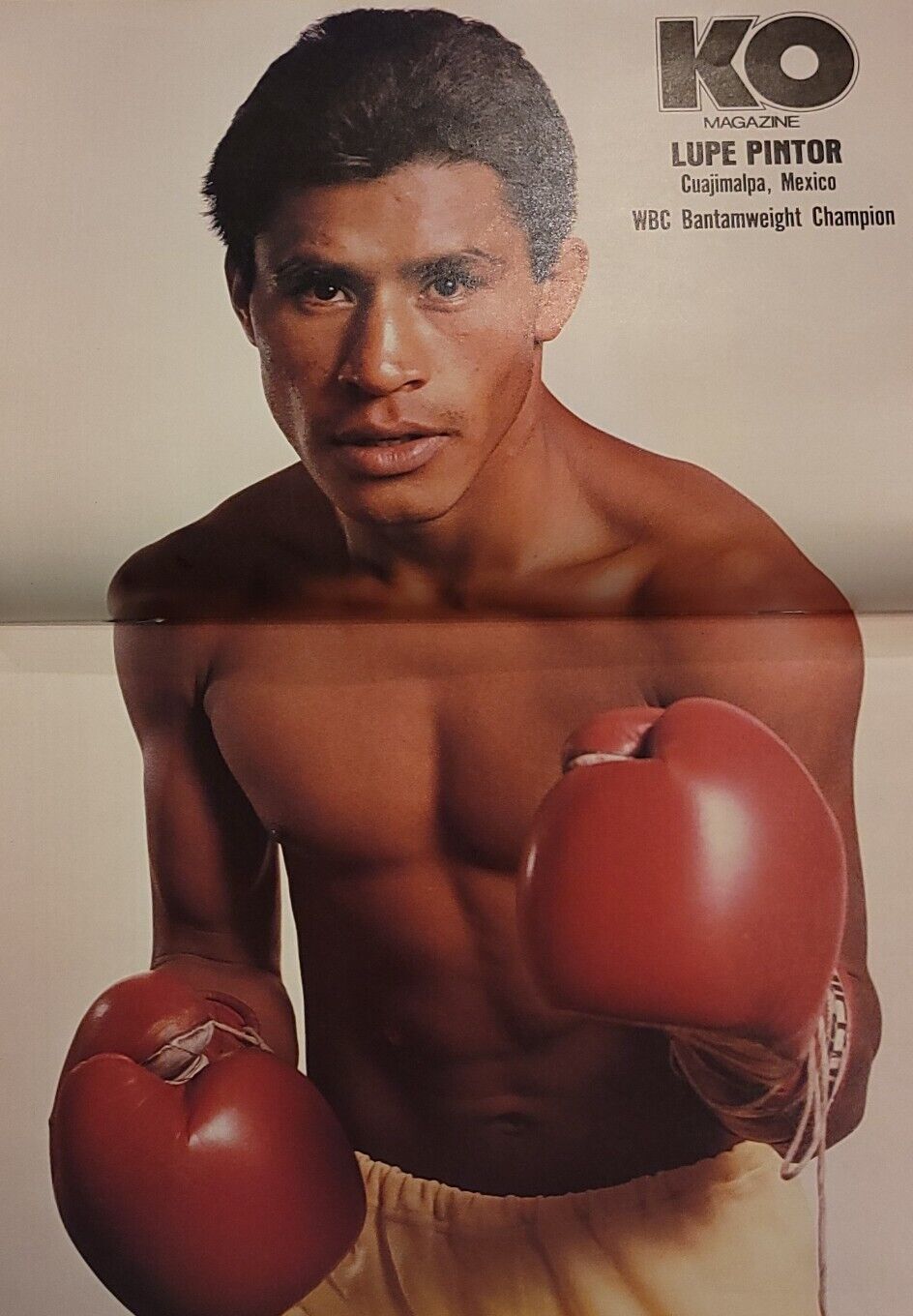 Lupe Pintor, boxeur