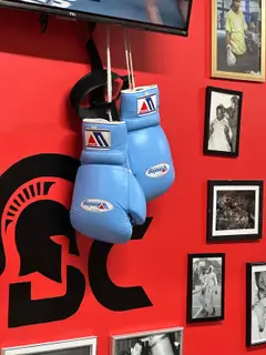 Gants de boxe bleus suspendus devant le logo SBC, salle SBC Miollis (Paris 15e)